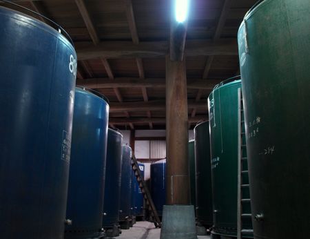 Storage tanks in the deepest part of the brewery
