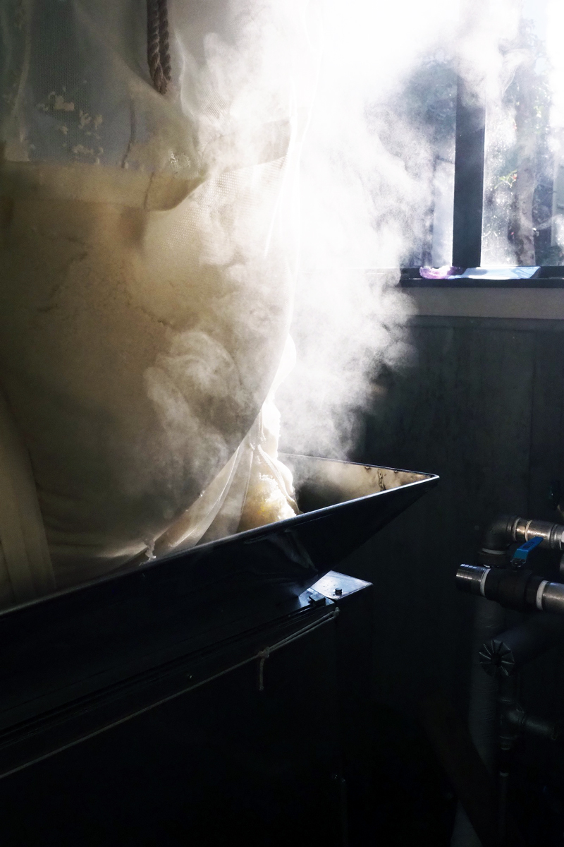 Steam rising from the moromi mash during pressing, lit by a window