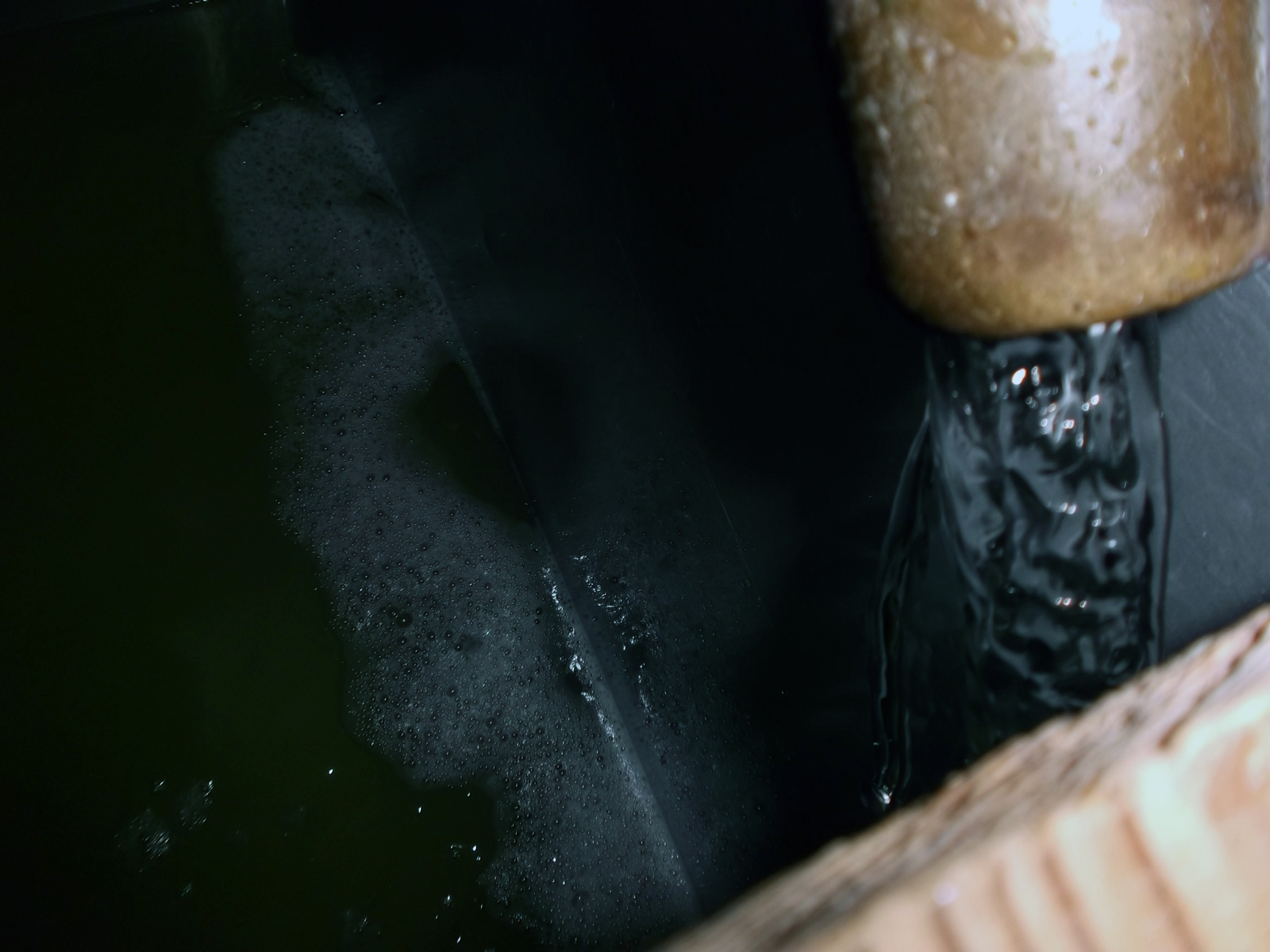 Freshly pressed sake dripping from the fune press
