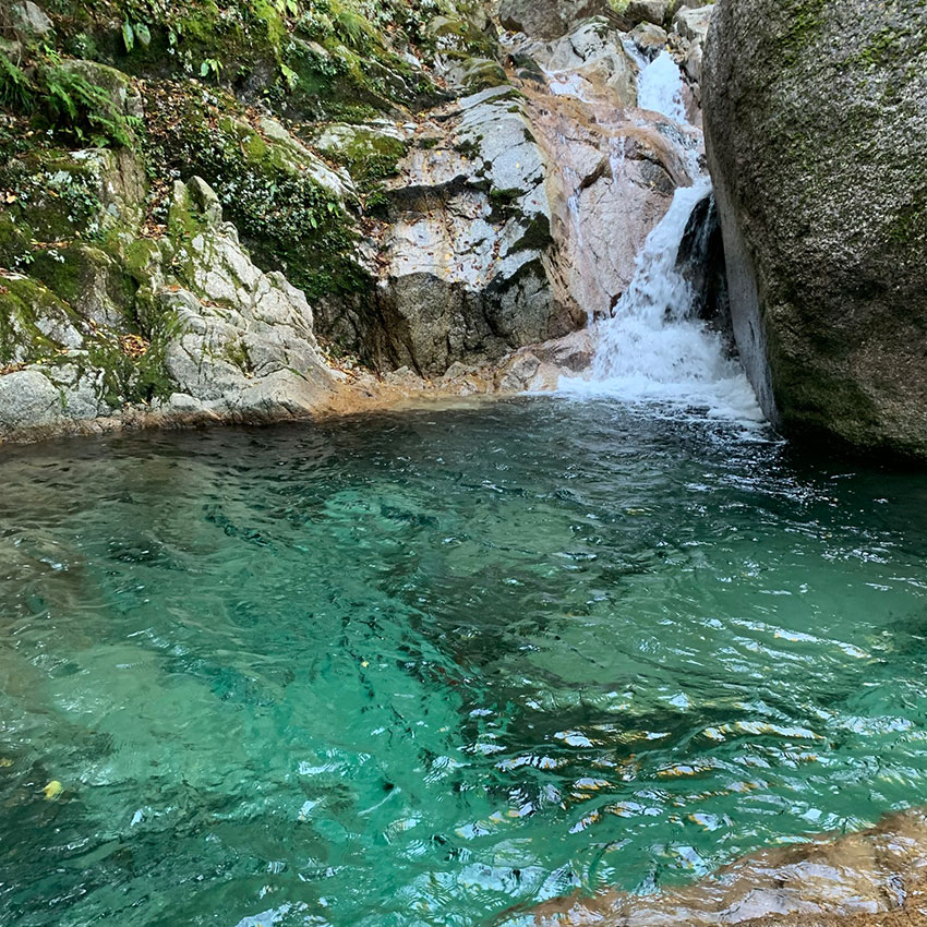 仕込み水の源流(花崗岩に濾過された伏流水)