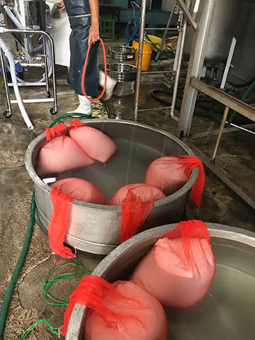 Moromi mash bags set into fermentation tanks at the brewery.