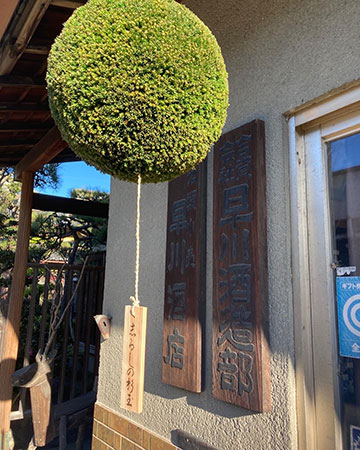 A cedar ball (sugidama) hangs beside the carved brewery nameplate at the entrance.