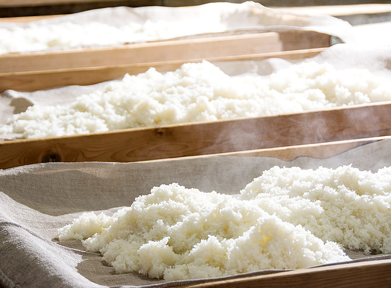 Steamed rice cooling on cloth-lined trays during brewing.