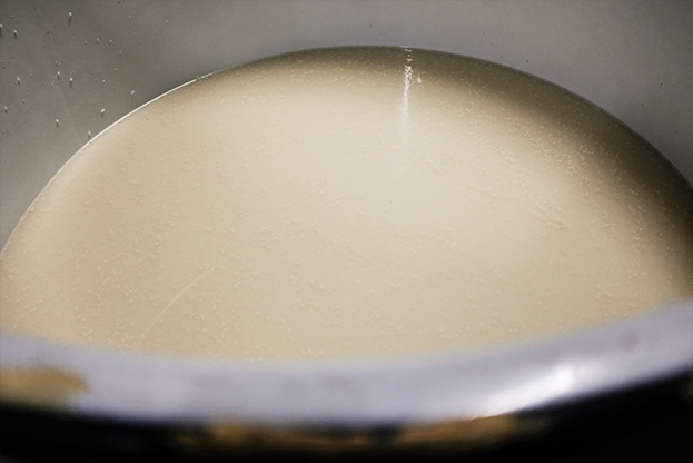 Close-up of moromi (fermenting mash) during brewing.