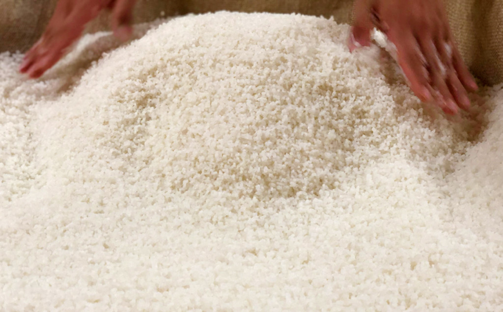 Rice being handled by hand during the sake brewing process.