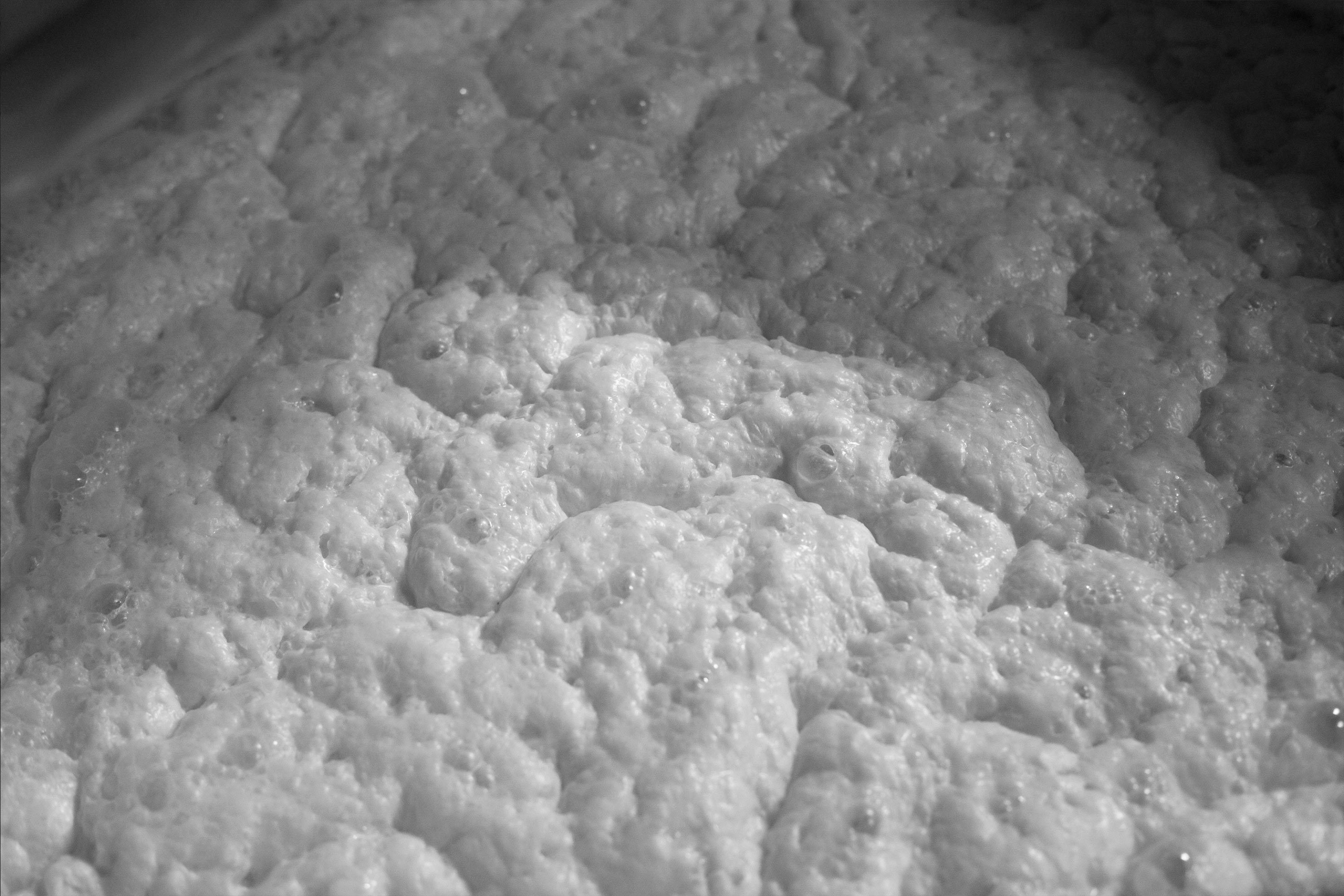Close-up of fermenting moromi mash bubbling in the tank.