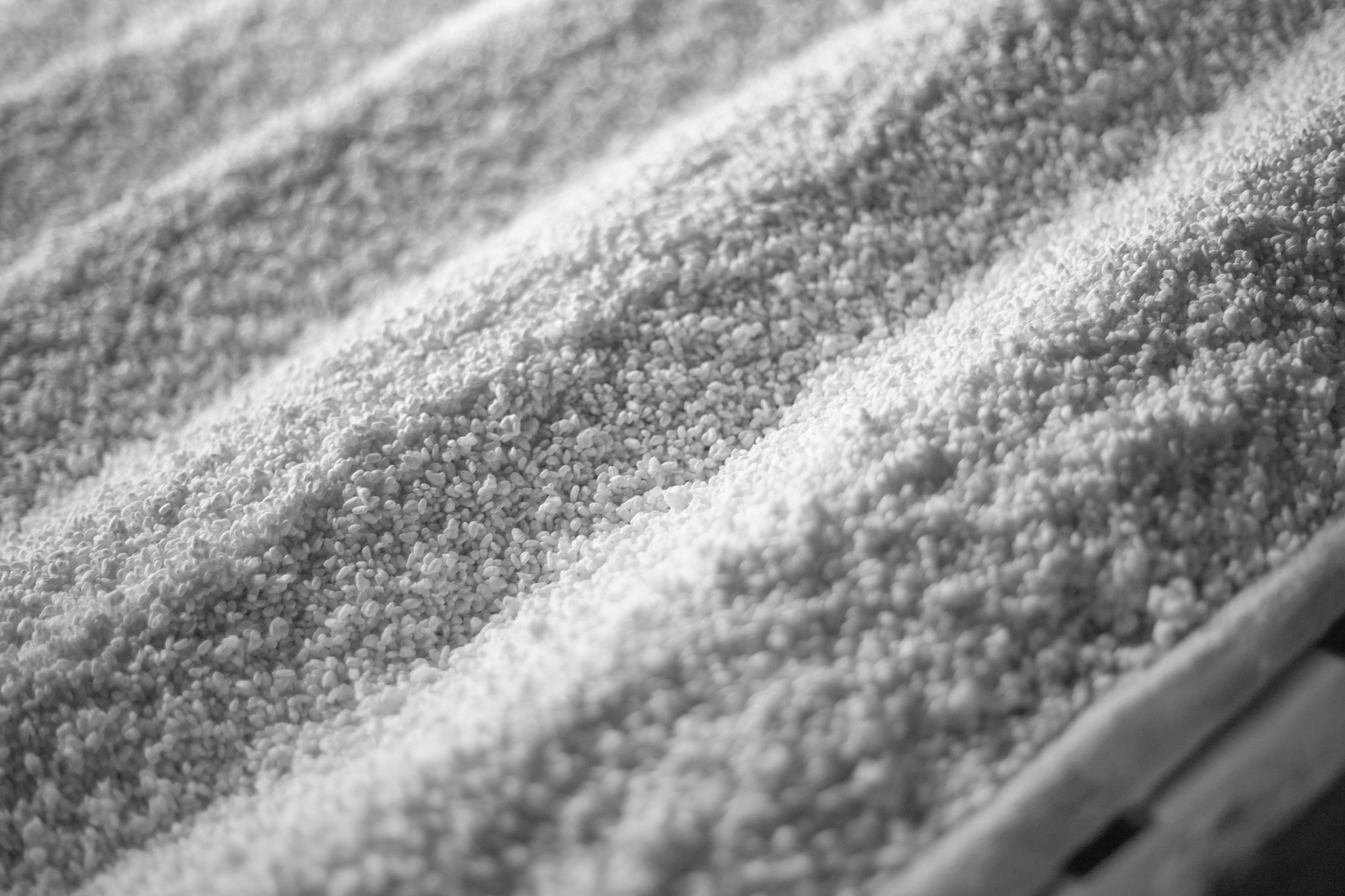 Close-up of freshly steamed sake rice.