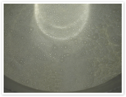 Close-up of the fermenting moromi surface