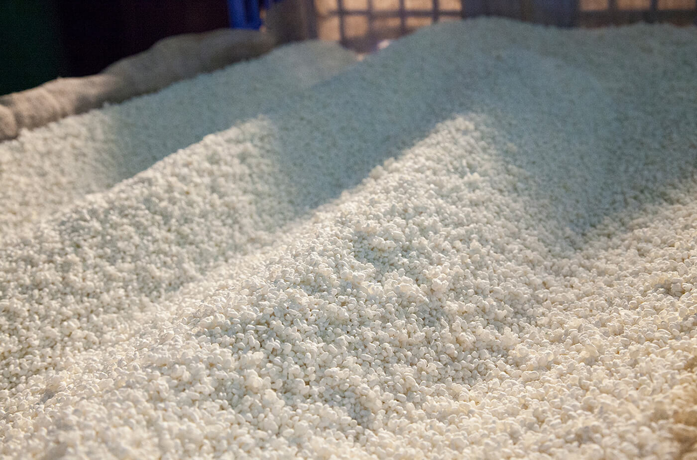 Steamed rice (koji) spread out during the brewing process