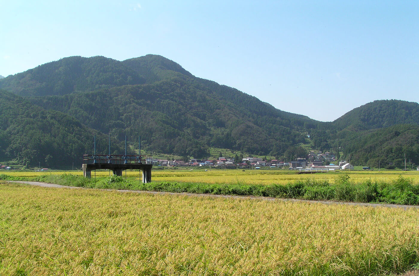Golden rice paddies near the village with mountains in the background