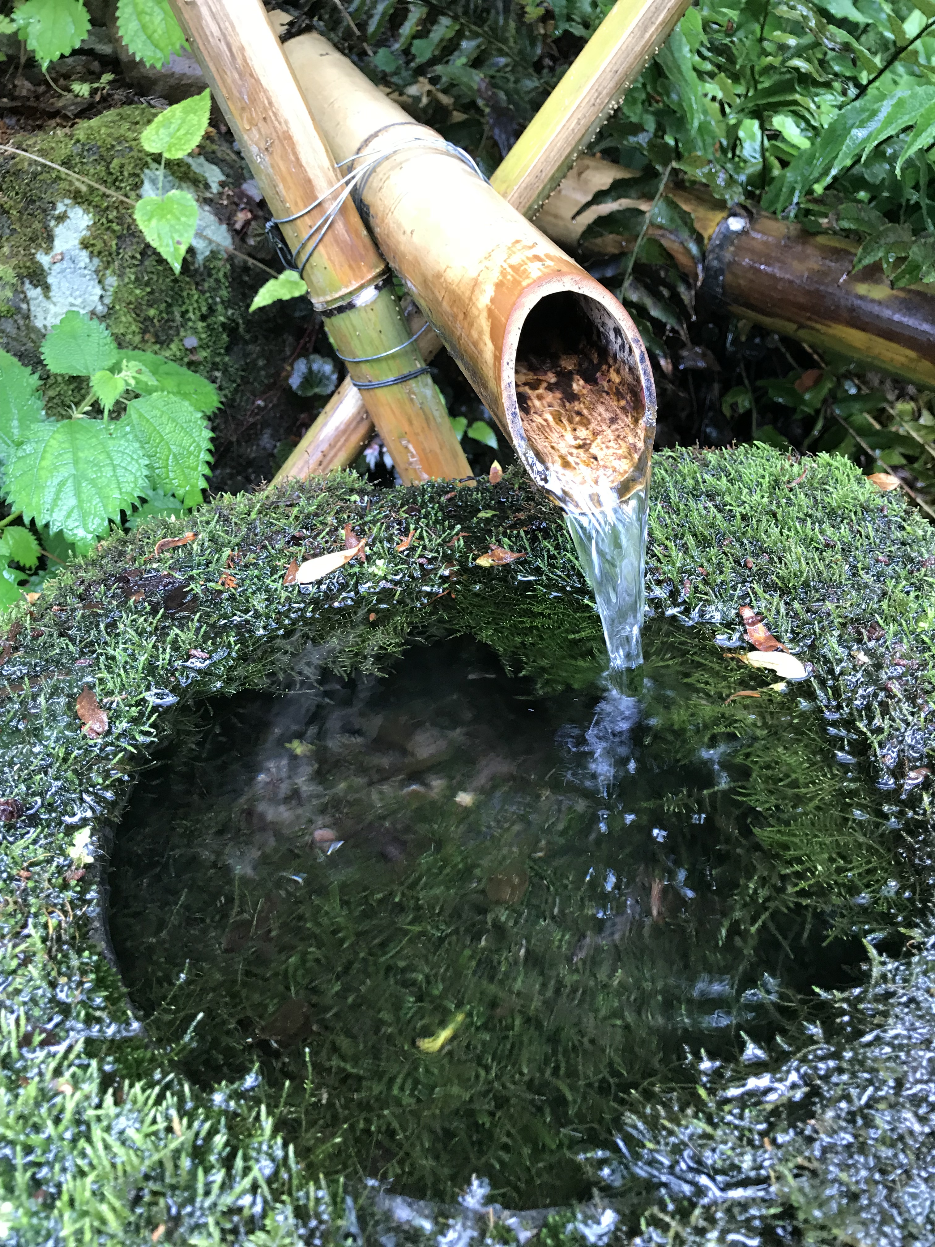 Bamboo water feature on the brewery grounds