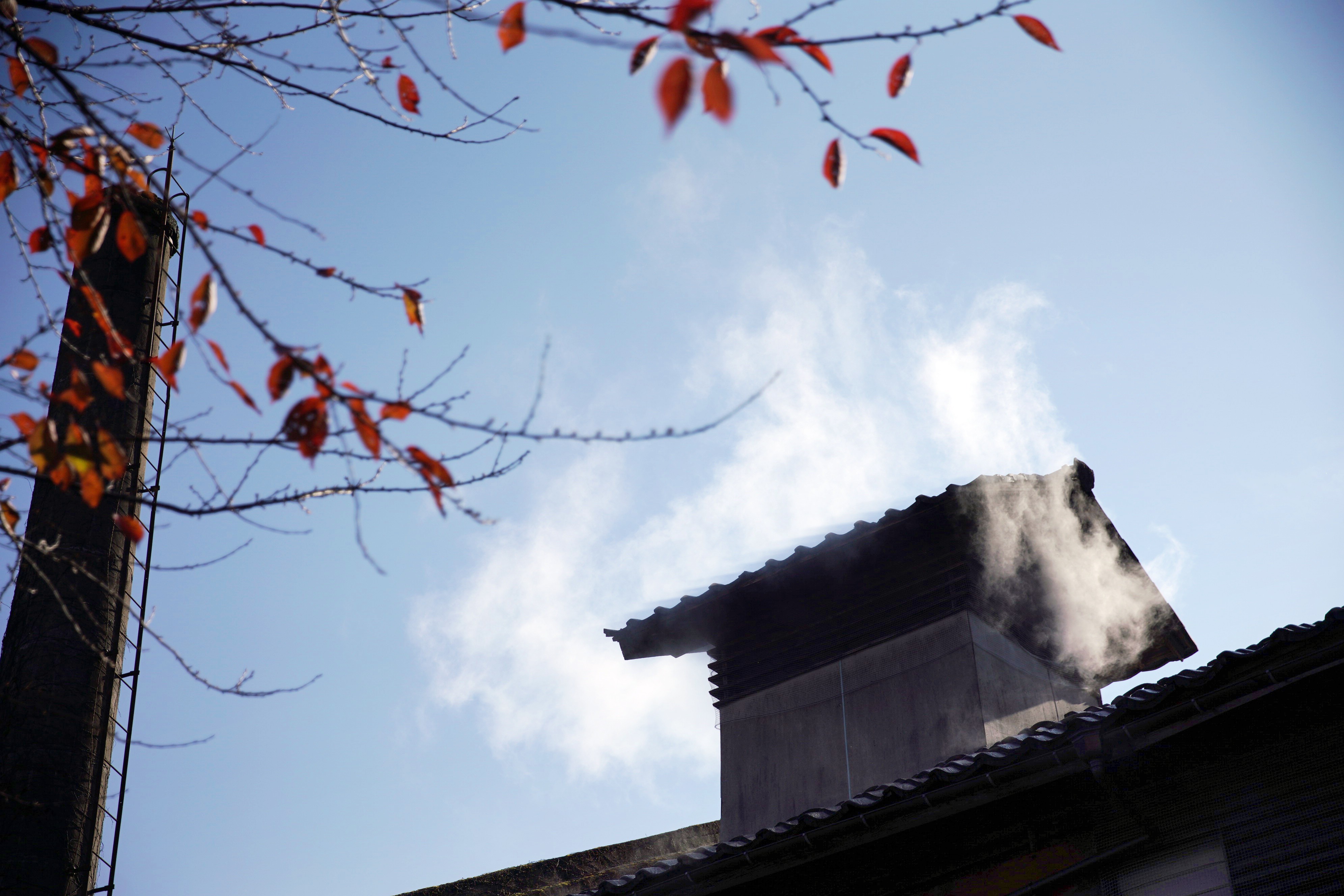 Steam rising from a roof vent of the brewery on a clear autumn day.