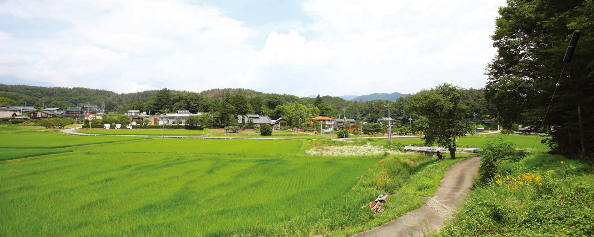 Rice paddies surrounding the brewery village at the foot of the Yatsugatake mountains