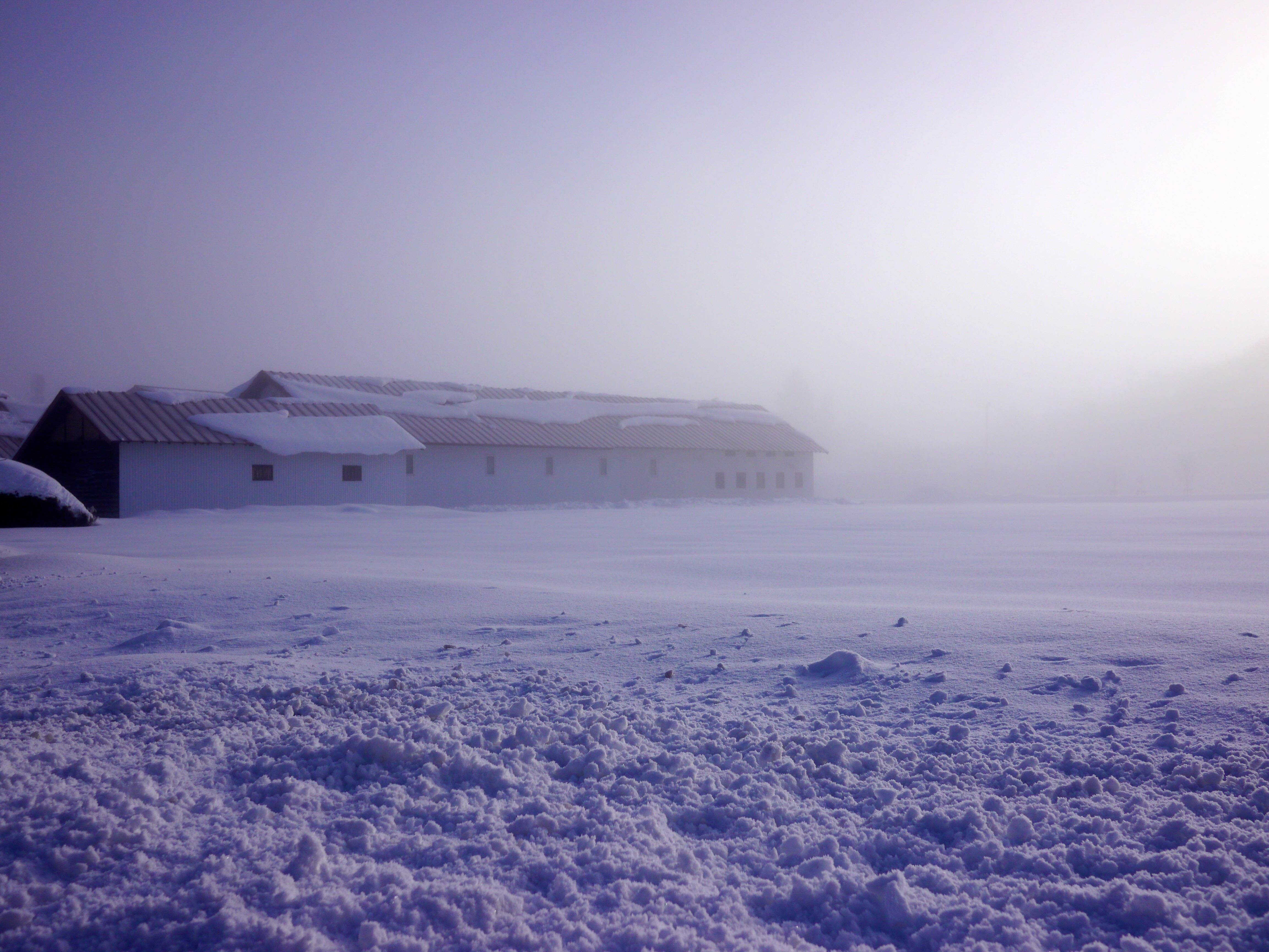 The brewery enveloped in cold mist on a winter morning.