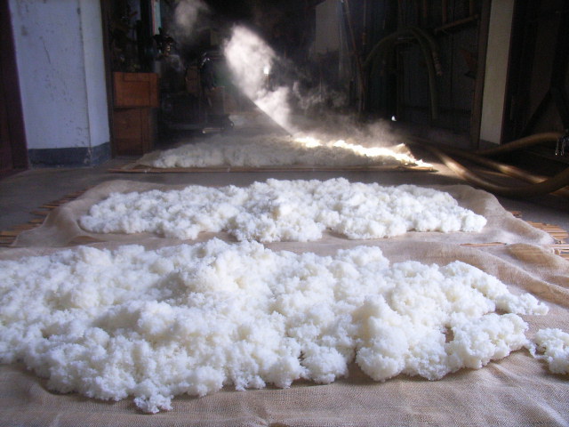 Freshly steamed rice cooling on cloth mats inside the brewery.