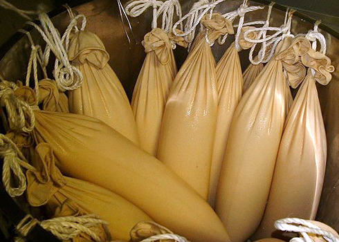 Sake pressing bags (fukurozuri) hanging during the joso (pressing) stage