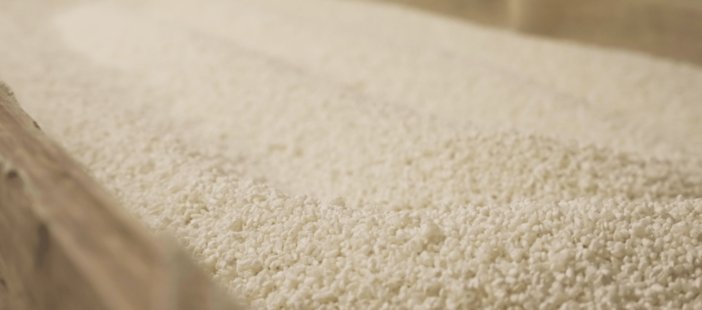 Close-up of steamed rice being prepared for koji making.
