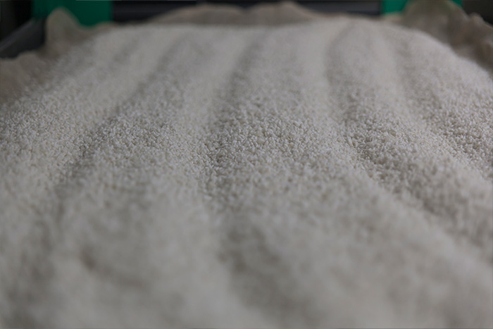 Close-up of freshly steamed rice spread out for koji making.