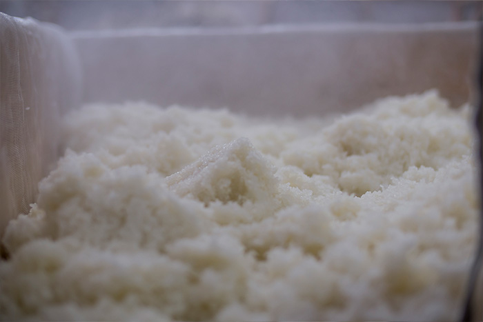 Steamed rice being prepared in a large vat during koji production.