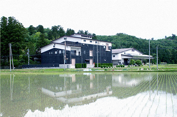Brewery exterior reflected in rice paddy water