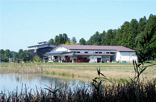 Brewery exterior near pond
