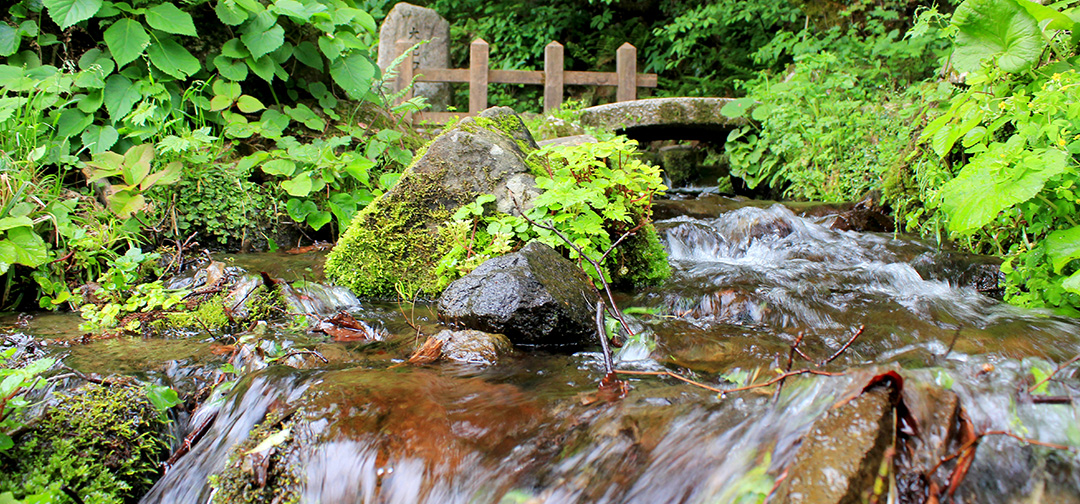 Oideguchi Sensui, the natural spring water source used in brewing