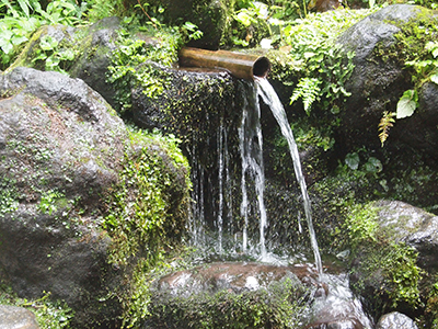 Natural spring water (Tōtō no Mori) used as brewing water