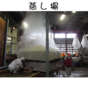 Steaming rice for sake production at the brewery.