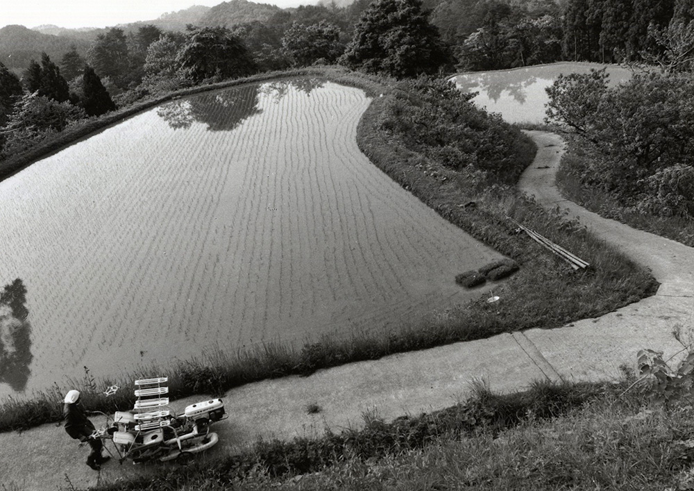 An aerial view of a terraced rice paddy surrounded by forest near the brewery.