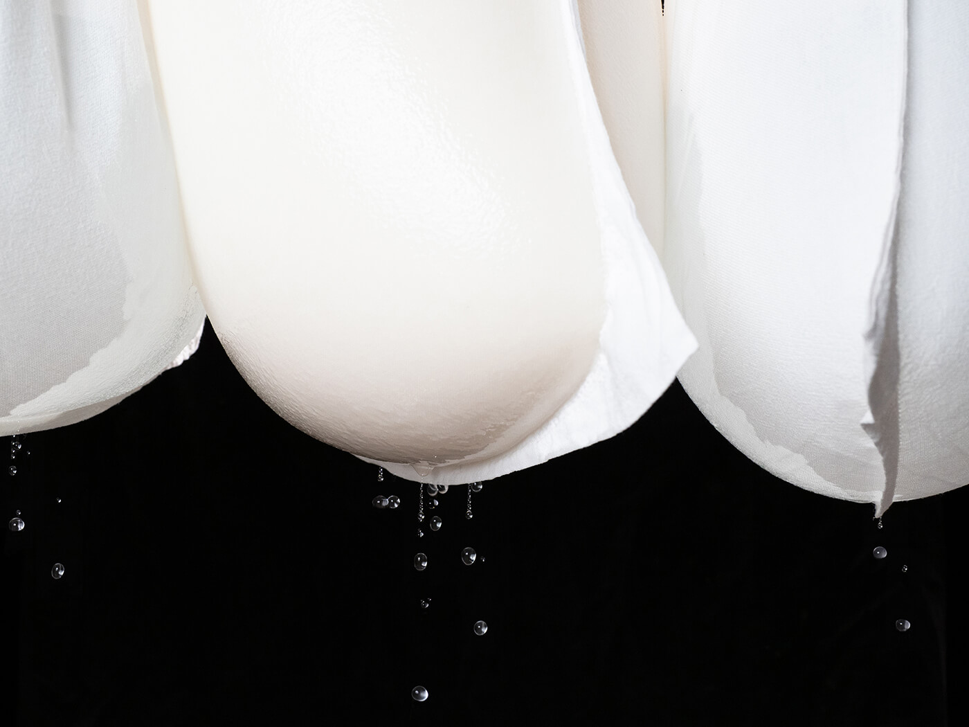 Sake dripping from suspended fukurotori (bag-drip) cloths during pressing.