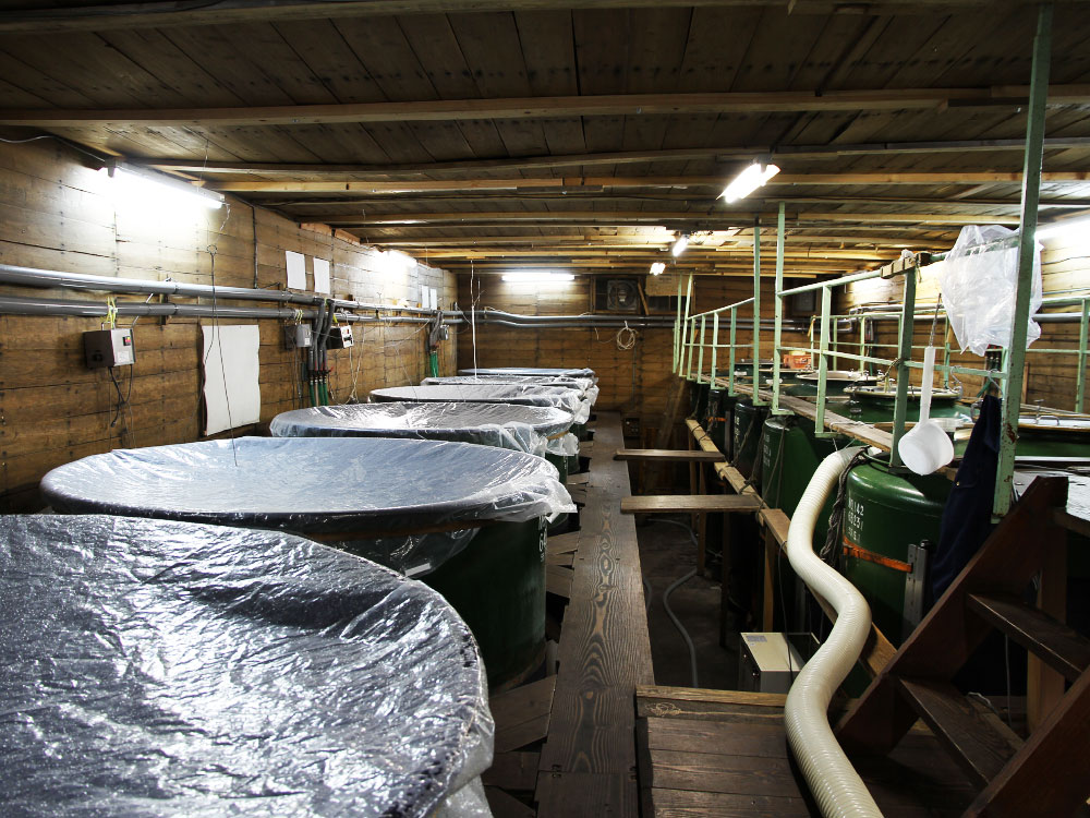 Rows of fermentation tanks inside the Takeoka-kura brewery.