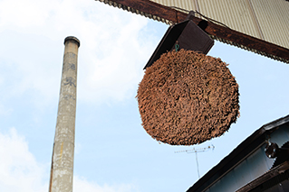 Sugidama (cedar ball) hanging beneath the eaves with the brewery chimney in the background