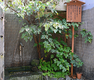 Kashima shrine water spring used in brewing, at the brewery grounds