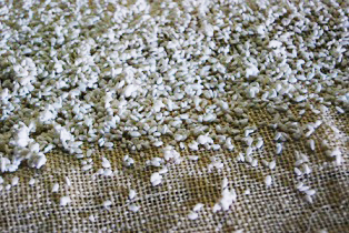 Close-up of steamed koji rice