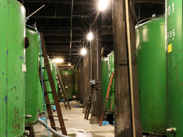 Rows of green fermentation tanks inside the brewery