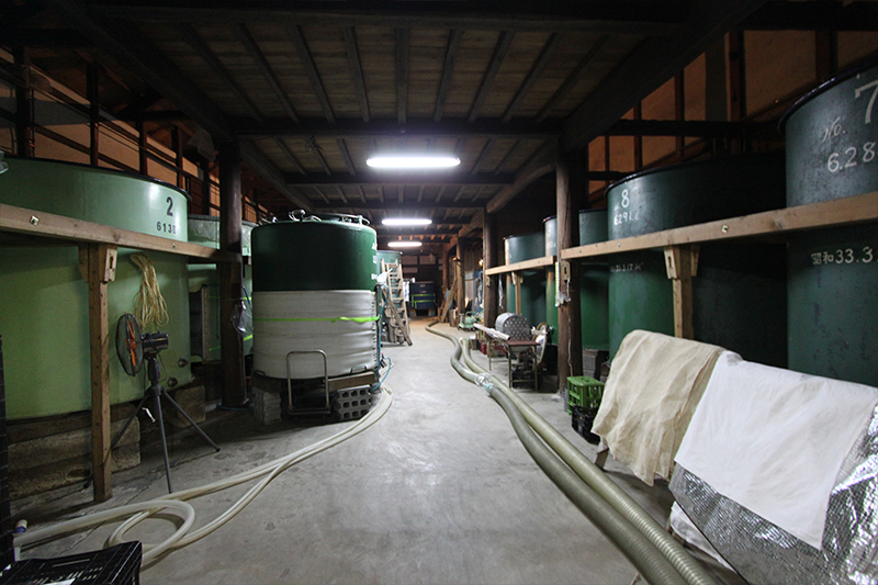 A row of green fermentation tanks inside the brewery's storage hall.