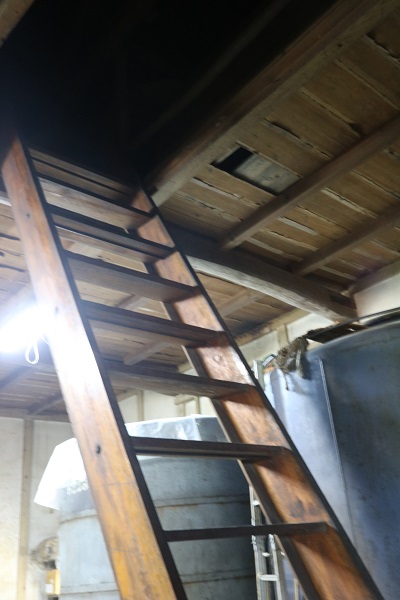 Wooden ladder-stairs inside the brewery, popular with visiting local schoolchildren.
