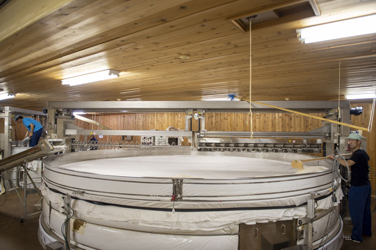 Automatic pressing (Yabuta-style) equipment inside the brewery
