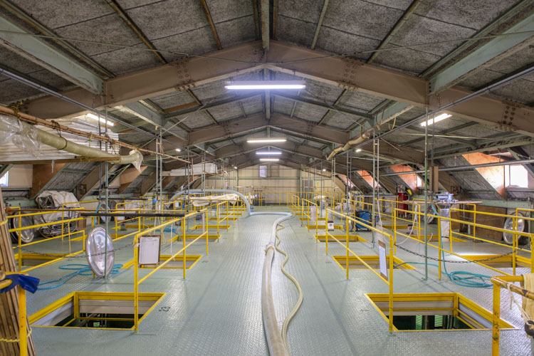 Interior view of the fermentation tank hall