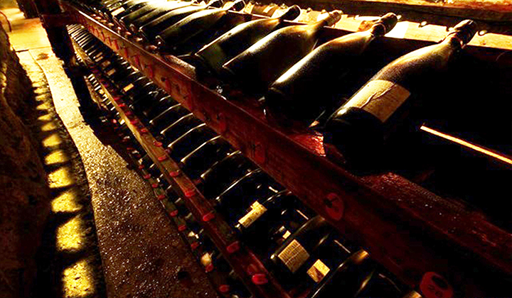 Rows of sake bottles aging on wooden racks in the cave cellar