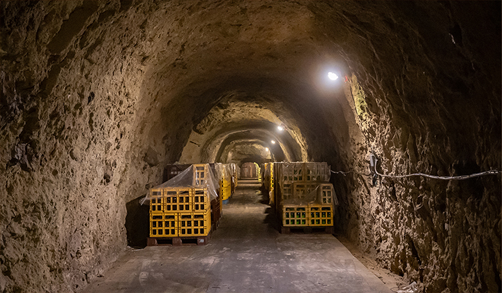 Cave tunnel storage area with crates of aging sake