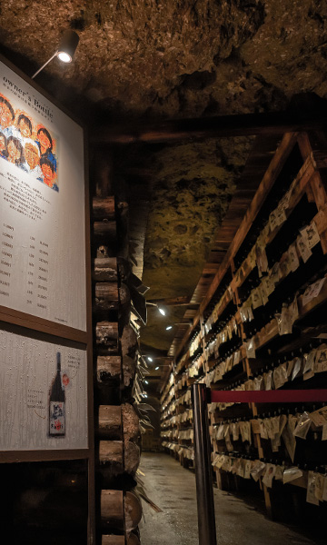 Cave cellar corridor with information signage and bottle racks