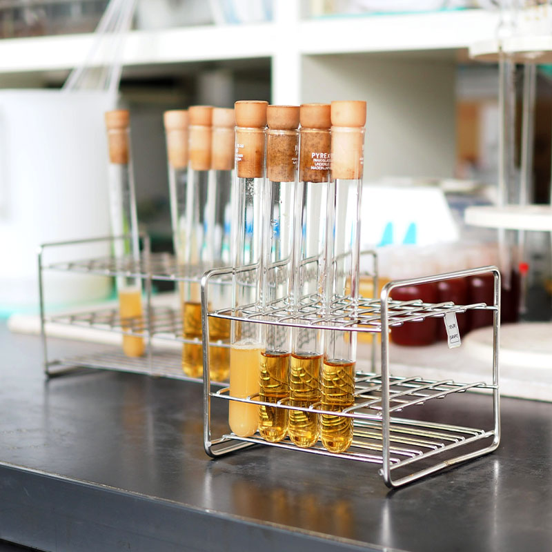 Sample test tubes of sake used for internal quality analysis.