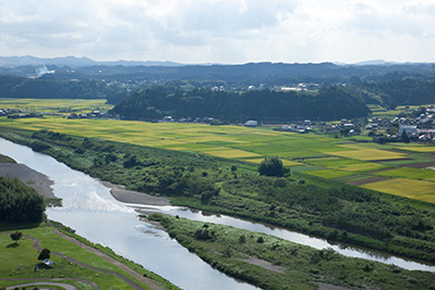 Aerial view of the Kuji river and surrounding rice paddies in Okukuji, near the brewery.