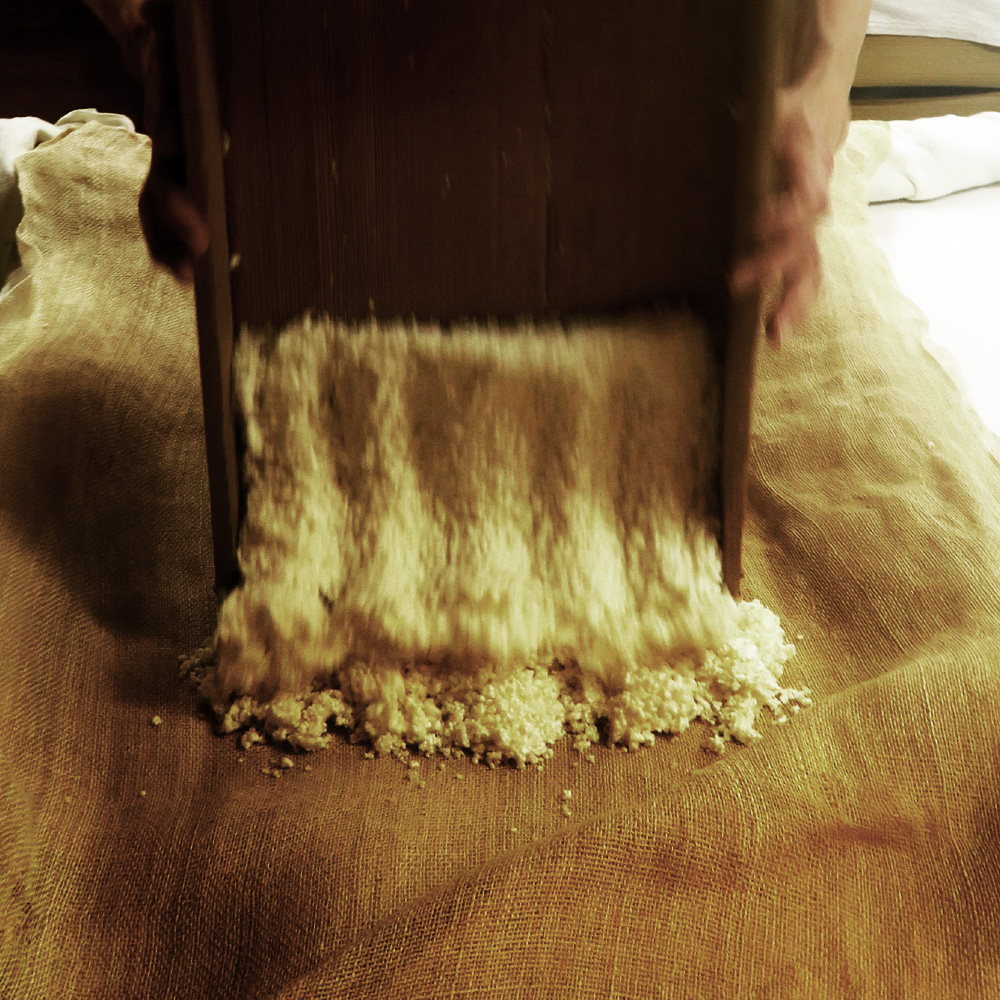 Freshly milled koji rice being poured by hand