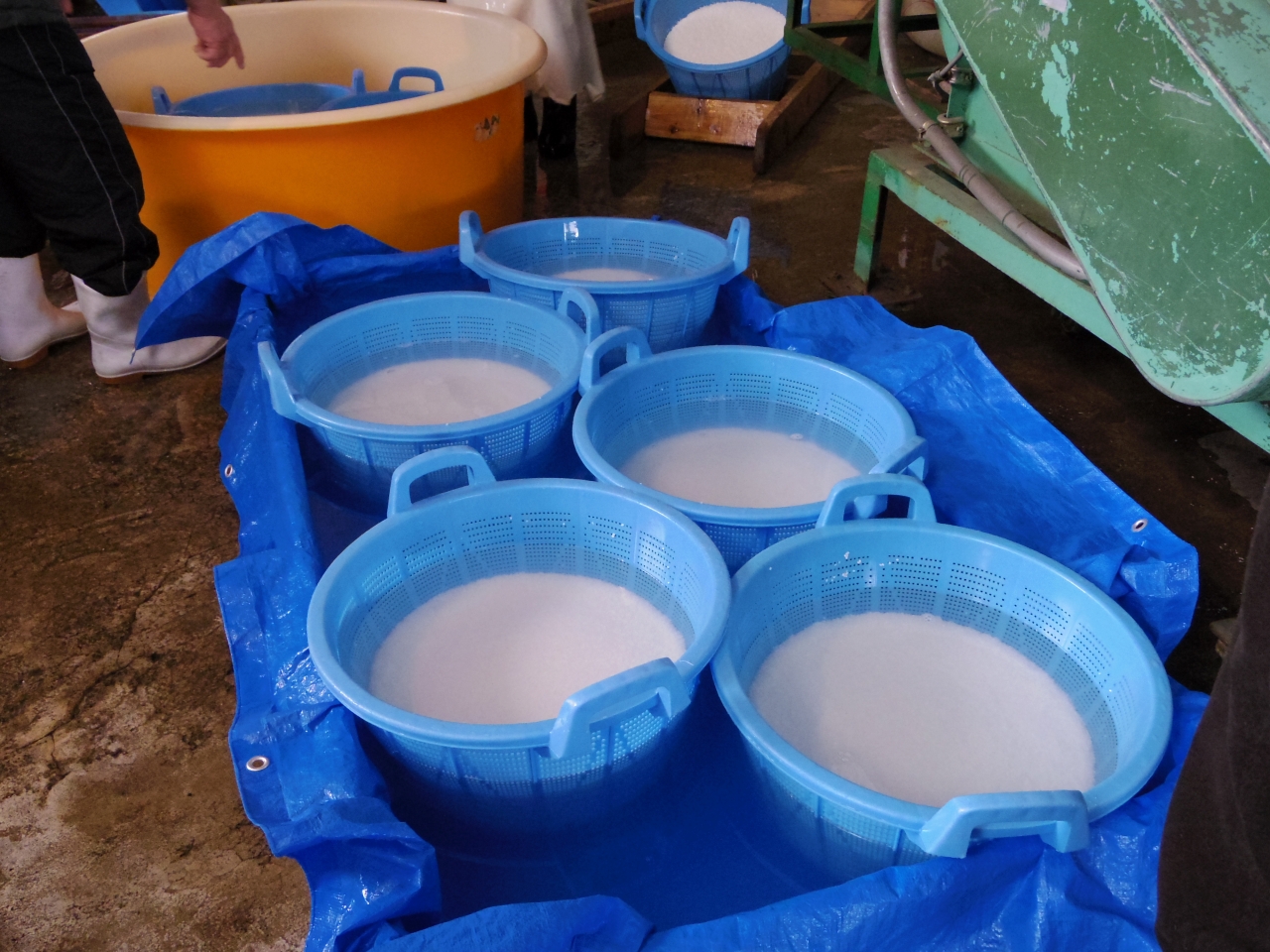 Sake rice soaking in Iide mountain spring water