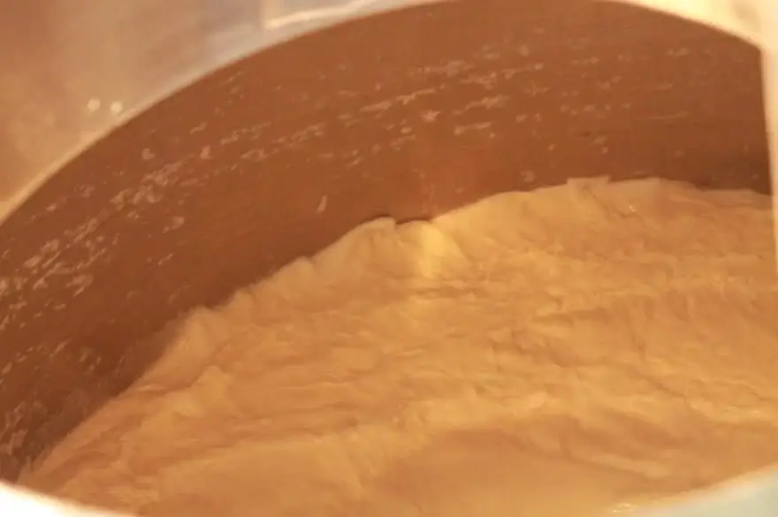 Moromi (fermenting mash) in a brewing tank