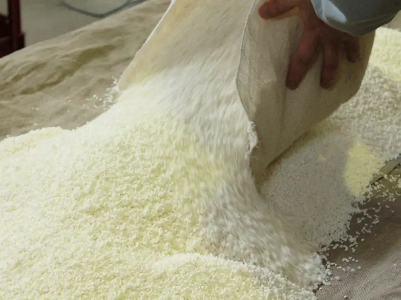 Steamed rice being prepared for koji making