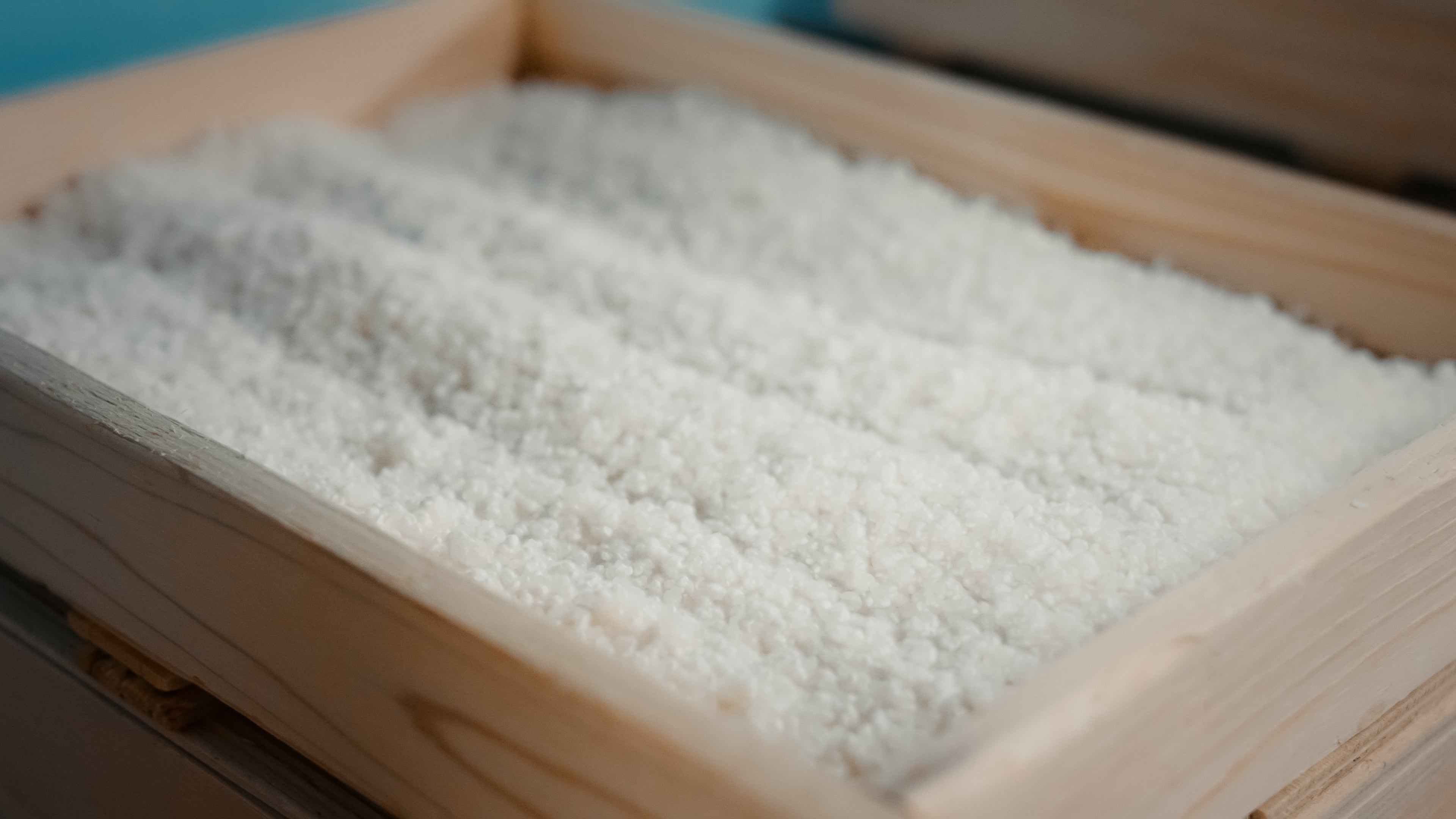 Koji rice spread on traditional trays