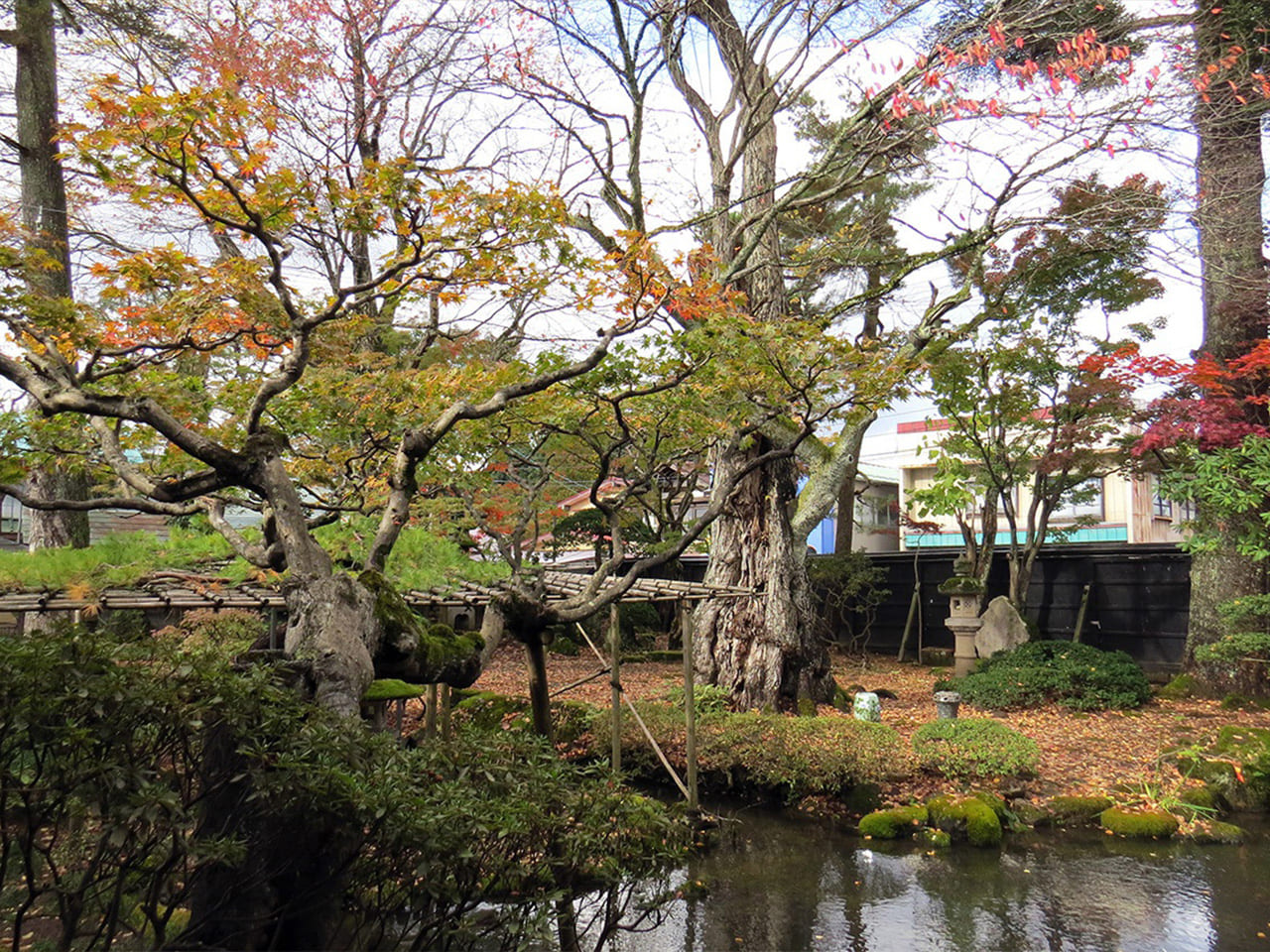Japanese garden and pond on the brewery grounds in autumn